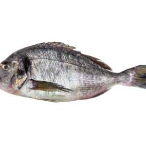SeaBream Whole Cleaned Gutted