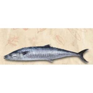 Fresh Wild King Fish /سمك الملك الطازج