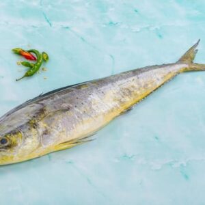 Mahi Mahi