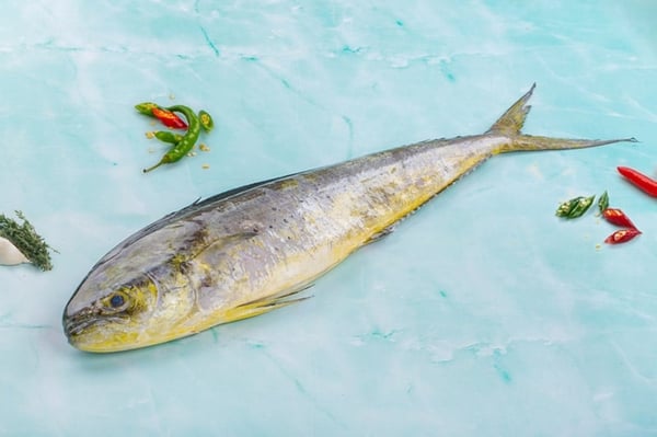 Mahi Mahi