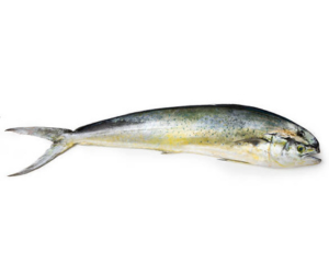 Mahi Mahi – Boneless Fillet (1kg)